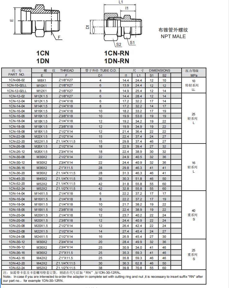 3、1CN.1DN.png